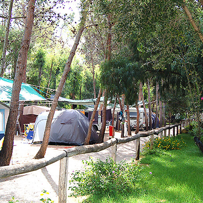 Camping Bungalow La Pineta